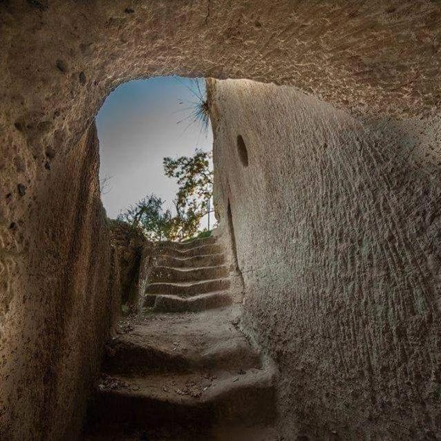 Villa Kore, Capo Vaticano Luaran gambar